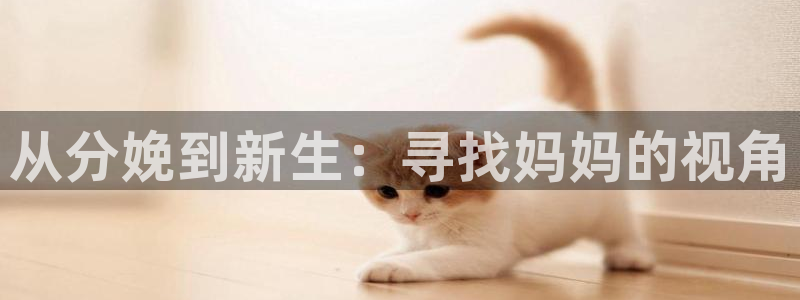現在就出發金牌影院