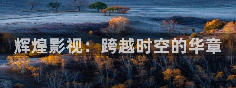 金牌影視劇免費入口：輝煌影視：跨越時空的華章